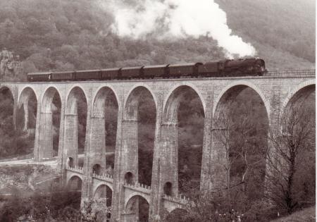           La 141 R 568 sur le viaduc de Cize-Bolozon. ain